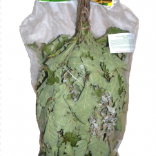 Веник с травами - дуб "Экстра" с пижмой в инд. упаковке 